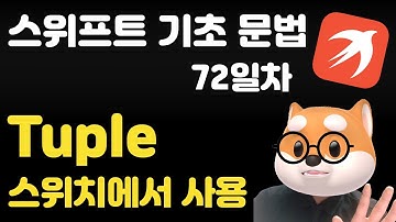 스위프트 기초 문법 - 72일차 / 스위치에서 tuple 사용