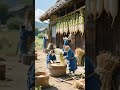 明治時代の猫ちゃんのご先祖様の生活をクローズアップしました