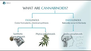 The Elements of Science | Cannabinoids