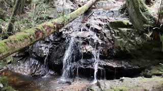Waterfall Cliff Gilker Park