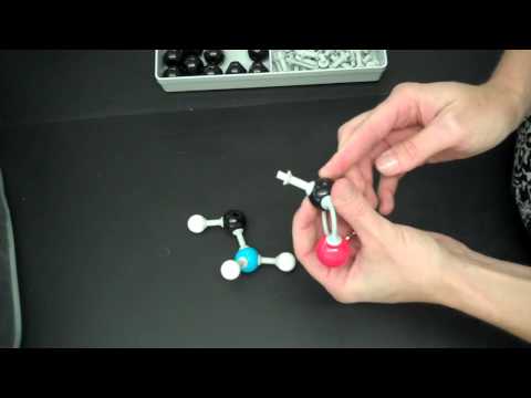 How to Contruct an Alanine Molecular Model
