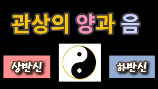 관상의 음양. 상체와 하체, 어디가 우월?