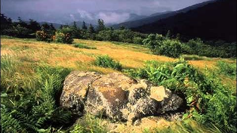 Surah Al-Waqi'ah /سورة الواقعة Sheikh Idris Abkar /الشيخ ادريس ابكر