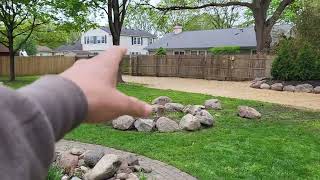 Instant natural tree privacy fence up in Troy, MI