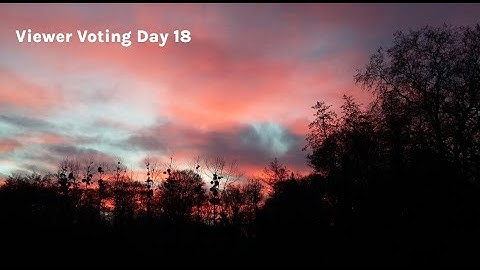 Viewer Voting Day 18