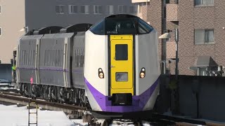 特急とかち81号 キハ261系 帯広駅到着