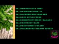 Weaning baby at 6 months, KALE healthy baby recipes, Homemade baby first foods ideas Dark leafy veg
