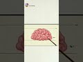 قصف جبهات كرتون قصف جبهات كرتون