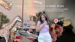 видео: Summer diary🦒🛍️back to school шоппинг к американской школе, bush gardens,driver license, права в США картинка: Summer diary🦒🛍️back to school шоппинг к американской школе, bush gardens,driver license, права в США