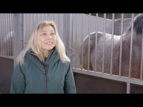 Video: Nederlands Trekpaardenras Hypoallergeen, Gezondheid En Levensduur