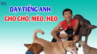 Đưa heo, chó, mèo về nhà dạy Tiếng Anh  ĐỘC LẠ BÌNH DƯƠNG