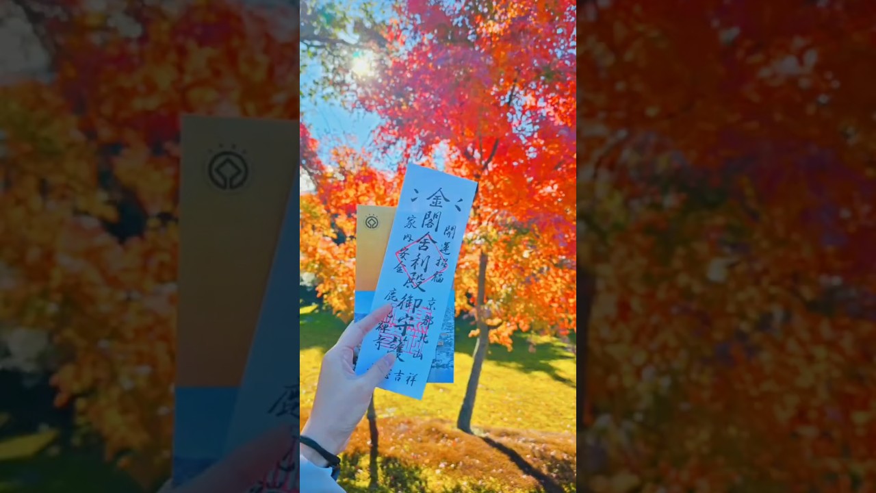 到哪去賞楓🍁？京都金閣寺鹿苑寺 #金閣寺 #京都 秋天的金閣寺，金色外觀配上紅葉景色決美。#楓葉 #親子旅遊 #賞楓 #日本自由行#京都自由行