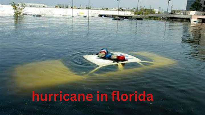 Hurricane Milton Extreme Surge Wind Slams Sarasota, FL