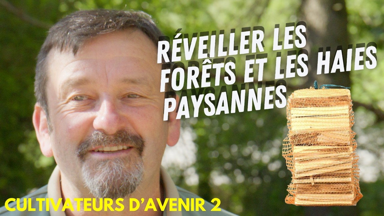 Ils créent emplois et revenus avec des bois que personne n'utilisait