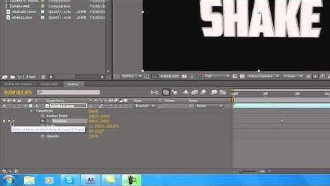 AAE|basic Lesson|shake effect