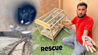 Rabbits k Bacho Ko Rescue Krne ki Try Ki lkn Fail Hogae💔