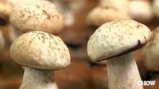 How to Make Meringue Mushrooms - CHOW Tip