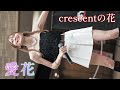 【繊細な透明感】愛花 from crescentの花『Brave』Japanese Diva [FanCam]