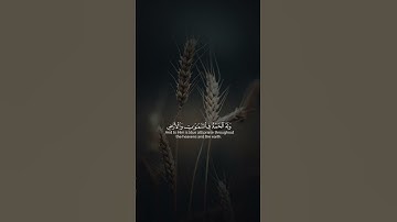 فَسُبْحَانَ اللَّهِ حِينَ تُمْسُونَ وَحِينَ تُصْبِحُونَ#القرآن_الكريم #سورة_الروم #عبدالله_الخلف