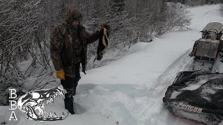 trapping the north cabin line prt 1