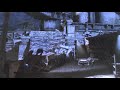 Gears of War 3 Bug