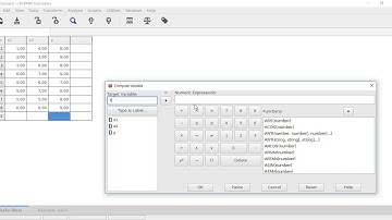 How to use Test Validity Tools in PSPP?