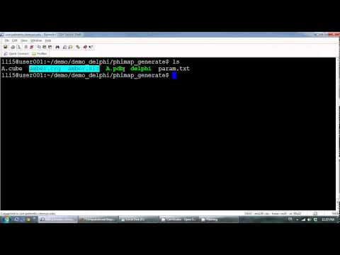 How to use DelPhi and how to visualized potential map (1)
