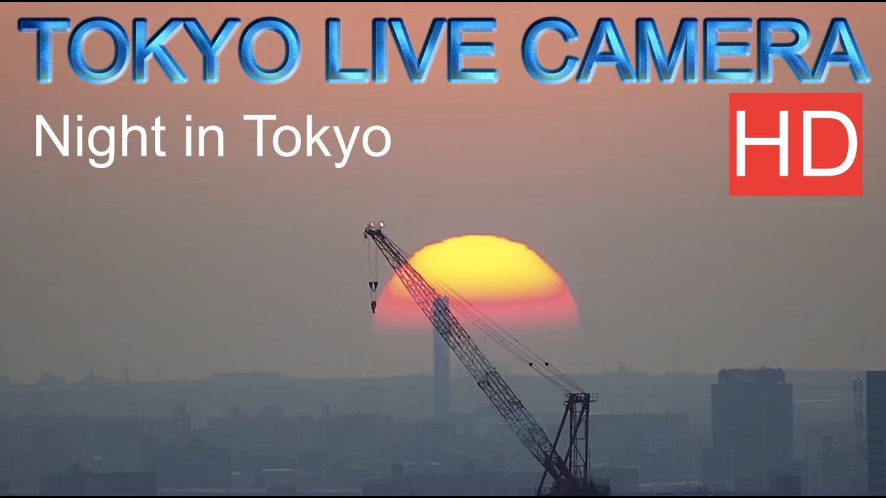 Tokyo live