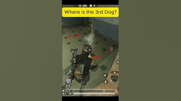 Did K9 class get crazy buff #codm #codmobile #codclips #callofduty #shorts