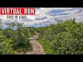 Virtual Run | Stunning Nature Scenery from Nothern Norway | Treadmill Running Video