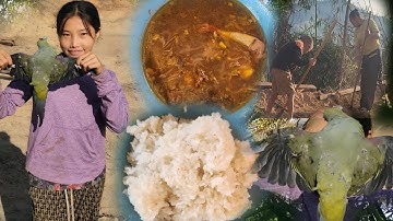 Mus zov txiv vaj khaum tua tau 1tug nquab xwb 5/12/2025