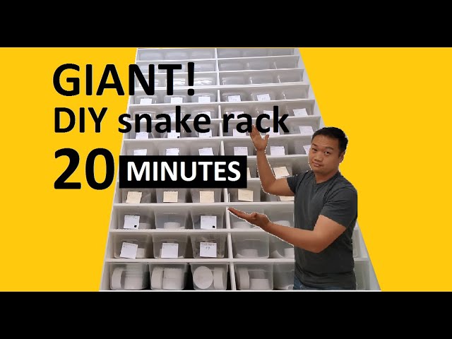 Diy Pvc Snake Rack