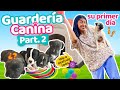 🚸 PRIMER DÍA EN LA GUARDERÍA 🌳 🧸 🐕🐕‍🦺 ¡TODOS LOS PERRITOS A CLASES y CUIDADOS!⛑ | Conny Merlin