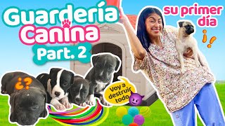 PRIMER DÍA EN LA GUARDERÍA   ‍ ¡TODOS LOS PERRITOS A CLASES y CUIDADOS!⛑ | Conny Merlin