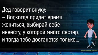 💎Муж Возмущённо Говорит Жене...Большой Сборник Смешных Анекдотов,Для Супер Настроения!