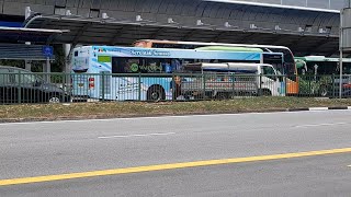 Mediacorp Warna 942 Full Body Advertisement SG1822B Service 858 At Yishun Avenue 2