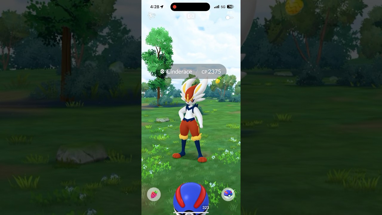 A Wild Cinderace WHICH was stubbornly hard to catch! 