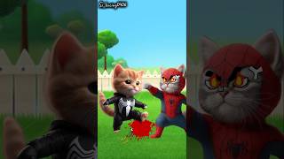 Never stomp on spiders 😡 #shortvideo #funny #cat