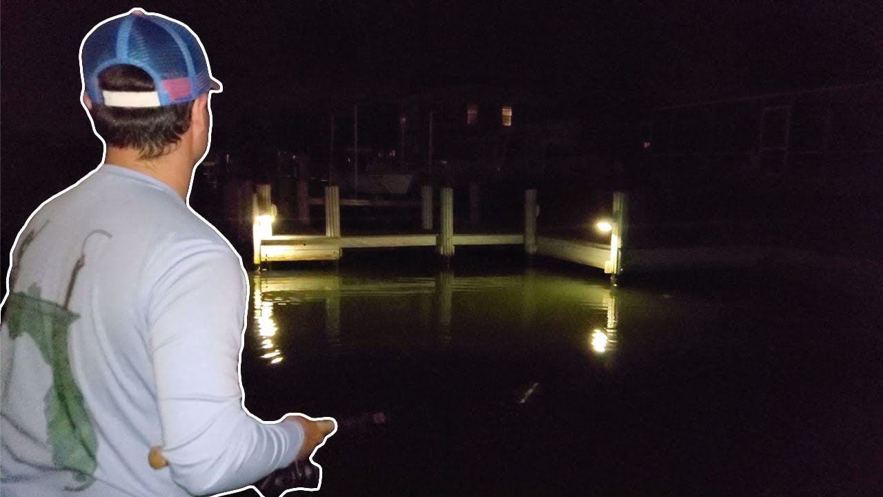 DOCK LIGHT CHAOS (ft. Maxed Out Fishing)