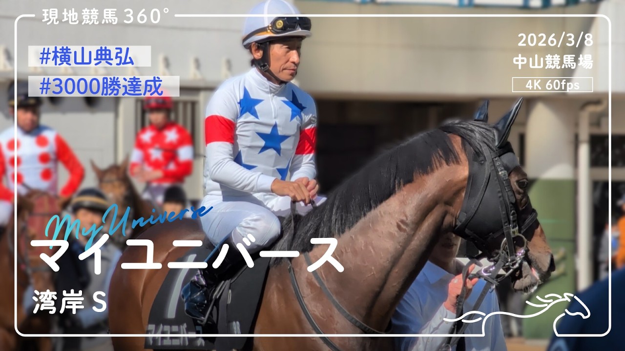 3000勝達成 ] マイユニバース｜湾岸S パドック｜2026/3/8 中山競馬場