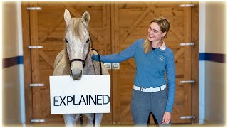 Horse Riding Aids (Tips For Beginners)