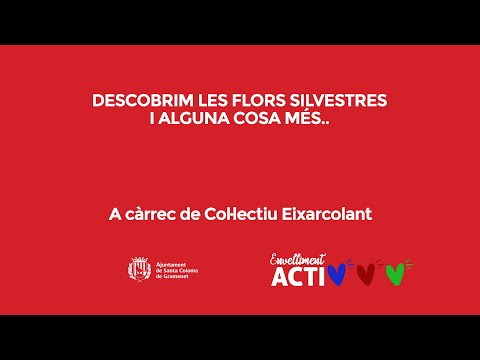 Vídeo: Què Són Les Flors Estabilitzades