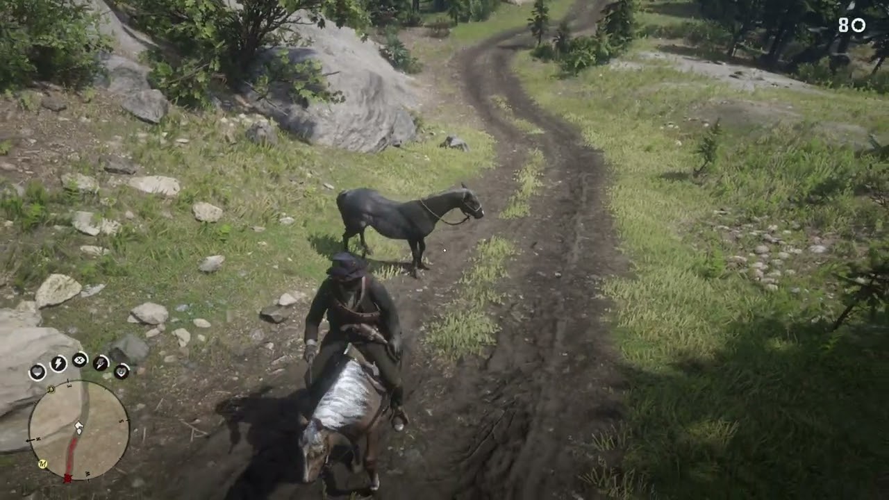 RDR2 - Arthur needs to get rid of 2nd horse, cold as Absolute Zero. Also plays Stranger Danger
