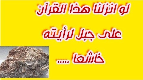 آيات بينات من الذكر الحكيم من براعم الكتاتيب ...