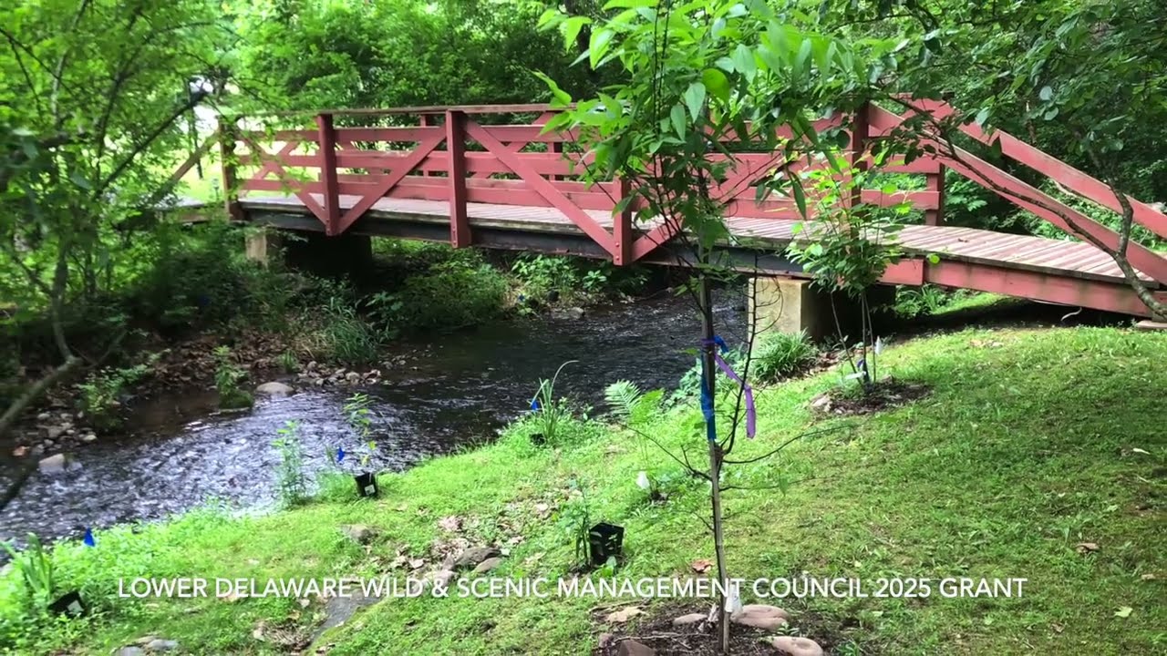 LDWS Lower Delaware Wild & Scenic River Primrose Creek Riparian Buffer grant @ Phillips' Mill 2025