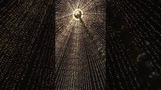 Târgul  de Crăciun din Sibiu  2024 - piața  Mare #sarbatori #lamultiani