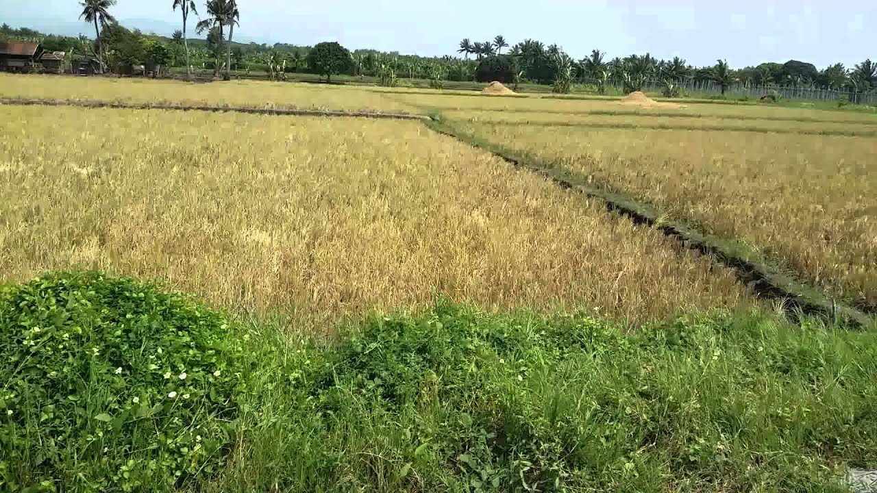 Property for sale in GenSan approx. 10 hectares YouTube