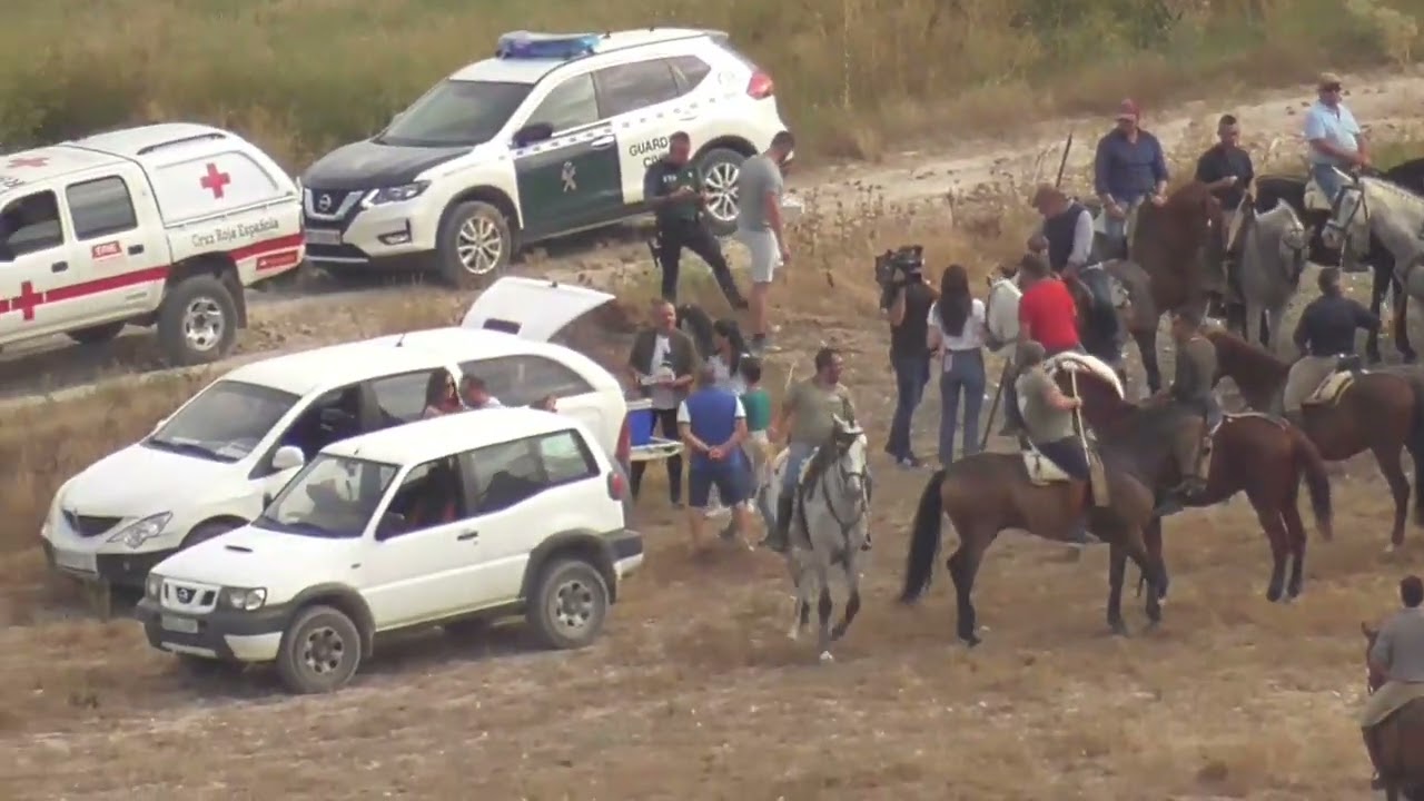 PORTILLO  (VALLADOLID)  ENCIERRO MIXTO 7- 9- 2023