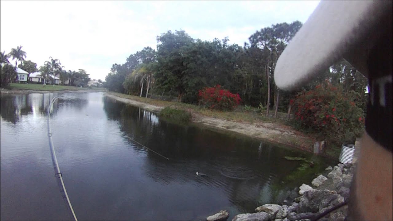 Fly Fishing Florida 2014 YouTube