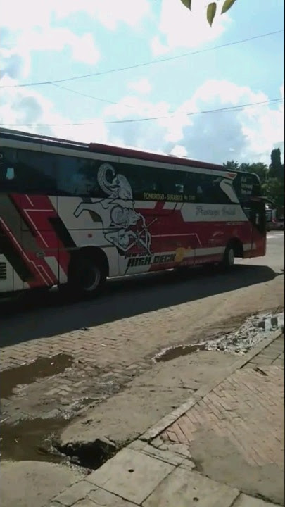 Bus Ponorogo Indah #shorts #shortsfeed #shortsvideo